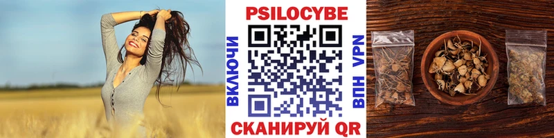 Псилоцибиновые грибы прущие грибы блэк спрут ССЫЛКА Ликино-Дулёво